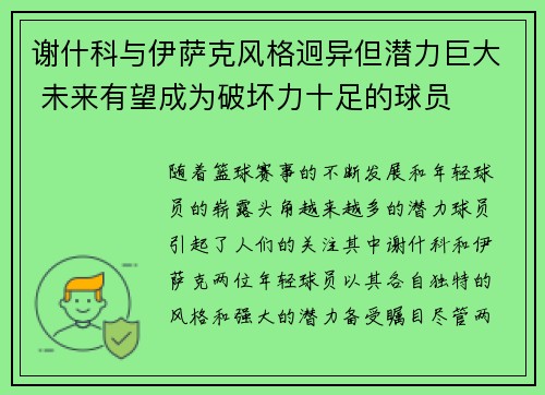 谢什科与伊萨克风格迥异但潜力巨大 未来有望成为破坏力十足的球员 谢什科与伊萨克风格迥异但潜力巨大 未来有望成为破坏力十足的球员